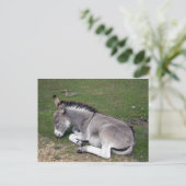 Niedlicher neuer WaldDonkey Postkarte (Stehend Vorderseite)