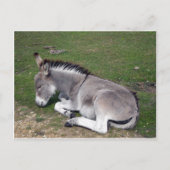 Niedlicher neuer WaldDonkey Postkarte (Vorderseite)