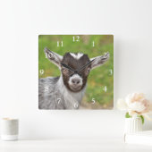 Niedlicher nigerianischer Zwerg Quadratische Wanduhr (Zuhause)