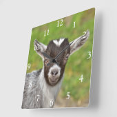 Niedlicher nigerianischer Zwerg Quadratische Wanduhr (Winkel)