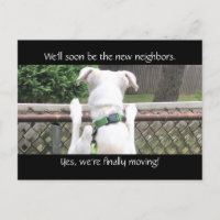 Niedlicher Nosey White Dog versucht Nachbarn zu se