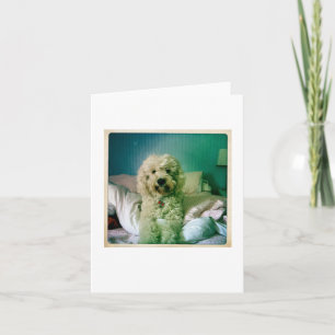 Niedlicher Notecard Goldendoodle Karte