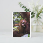 Niedlicher Orang-Utan Sumatra Postkarte (Stehend Vorderseite)