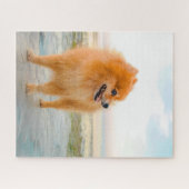 Niedlicher Orange Spitz am Strand Sonnenschein Som Puzzle (Horizontal)