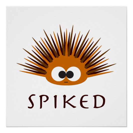 Niedlicher Orangenmeurchin Poster (Vorderseite)