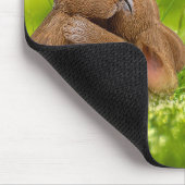 Niedlicher Osterbrunnens Eier Frühjahr Mousepad (Ecke)