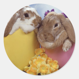 Niedlicher Osterhase innerhalb der Eier Runder Aufkleber