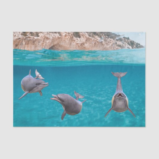 Niedlicher Ozean Dolphin Lover Meereswelt Seidenpapier (Vorderseite)