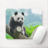Niedlicher Panda-Bär auf einer Baumzweigung Mousepad (Mit Mouse)