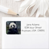 Niedlicher Panda-Bär, Personalisiert (Insitu)