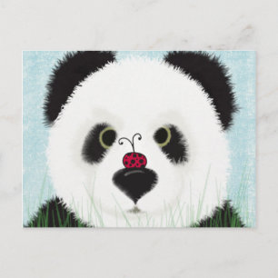 Niedlicher Panda-Bär Postkarte