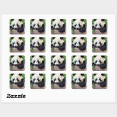 Niedlicher Panda-Bär Quadratischer Aufkleber (Blatt)