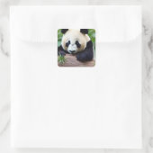 Niedlicher Panda-Bär Quadratischer Aufkleber (Tasche)