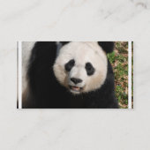 Niedlicher Panda-Bär Visitenkarte (Rückseite)