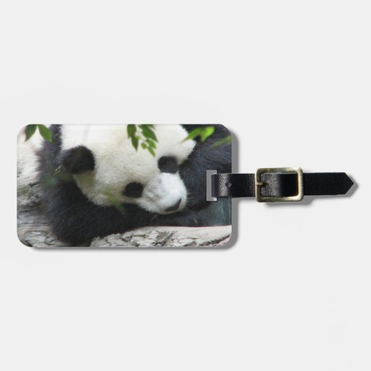 Niedlicher Panda-Gepäck-Umbau Gepäckanhänger (Vorderseite horizontal)