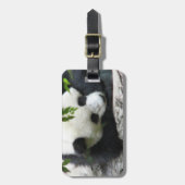 Niedlicher Panda-Gepäck-Umbau Gepäckanhänger (Vorderseite vertikal)