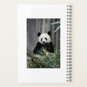 Niedlicher Panda Notizblock (Rückseite)