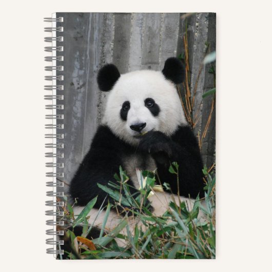 Niedlicher Panda Notizblock (Vorderseite)