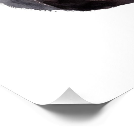 Niedlicher Panda Poster (Ecke)