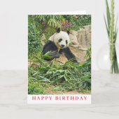 Niedlicher Panda zum Geburtstag Karte (Vorderseite)
