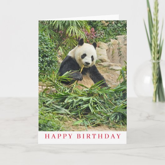Niedlicher Panda zum Geburtstag Karte (Vorderseite)