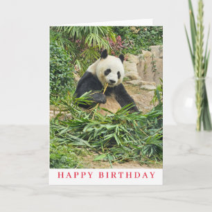 Niedlicher Panda zum Geburtstag Karte