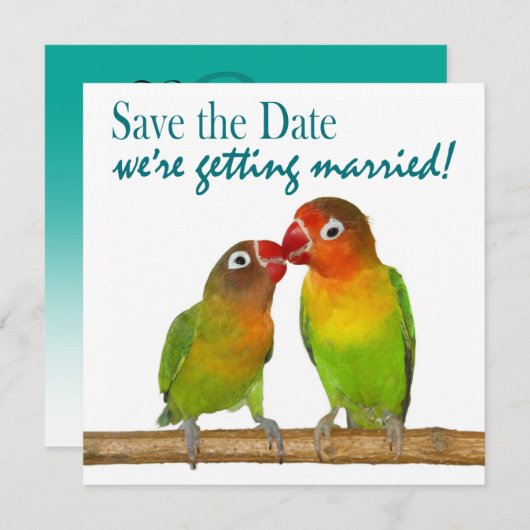 Niedlicher Papagei liebt Vögel Save the Date tropi (Vorne/Hinten)