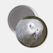niedlicher Papagei Magnet (Vorderseite/Rückseite)