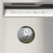 niedlicher Papagei Magnet (In Situ (Geschirrspüler))