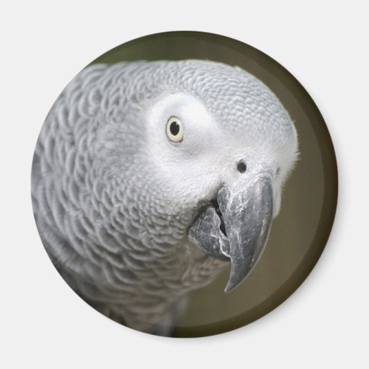 niedlicher Papagei Magnet (Vorne)