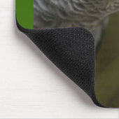 niedlicher Papagei Mousepad (Ecke)
