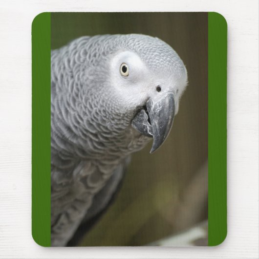 niedlicher Papagei Mousepad (Vorne)