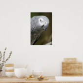 niedlicher Papagei Poster (Küche)