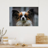 Niedlicher Papillenhund Poster (Küche)