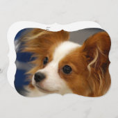 Niedlicher Papillon Hund Einladung (Vorne/Hinten)
