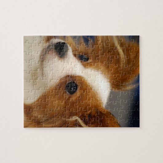Niedlicher Papillon Hund Puzzle (Horizontal)