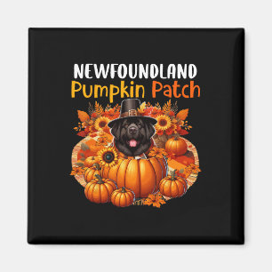 Niedlicher Patch Erntedank Pumpkins Fall Magnet