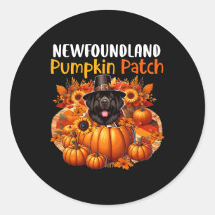 Niedlicher Patch Erntedank Pumpkins Fall Runder Aufkleber
