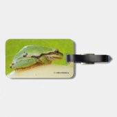 Niedlicher Pazifischer Baumfrosch auf Sommerpferd Gepäckanhänger (Rückseite horizontal)
