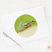 Niedlicher Pazifischer Baumfrosch auf Sommerpferd Runder Aufkleber (Umschlag)