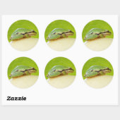 Niedlicher Pazifischer Baumfrosch auf Sommerpferd Runder Aufkleber (Blatt)