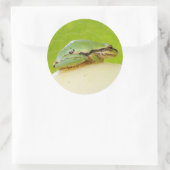 Niedlicher Pazifischer Baumfrosch auf Sommerpferd Runder Aufkleber (Tasche)