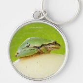 Niedlicher Pazifischer Baumfrosch auf Sommerpferd Schlüsselanhänger (Vorne)