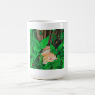 Niedlicher Peeking-Cat-Fot-Druck Kaffeetasse