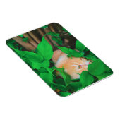 Niedlicher Peeking-Cat-Fot-Druck Magnet (Rechte Seite)