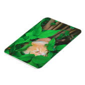 Niedlicher Peeking-Cat-Fot-Druck Magnet (Linke Seite)