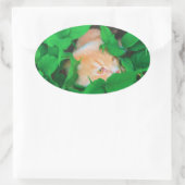 Niedlicher Peeking-Cat-Fot-Druck Ovaler Aufkleber (Tasche)