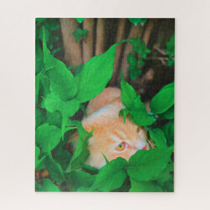 Niedlicher Peeking-Cat-Fot-Druck Puzzle