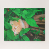 Niedlicher Peeking-Cat-Fot-Druck Puzzle (Horizontal)