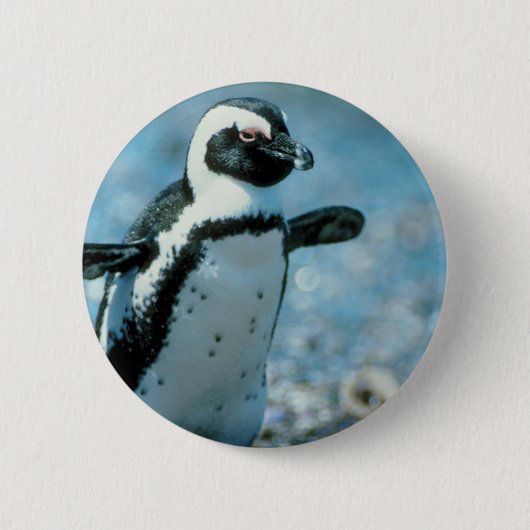Niedlicher Penguin Button (Vorderseite)